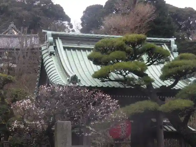 長谷寺のその他建物