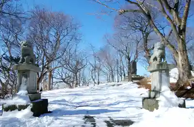 根室金刀比羅神社の狛犬