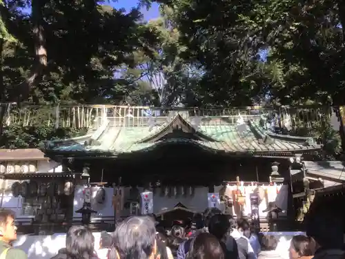 調神社の本殿