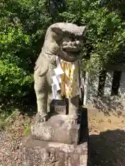 忌部神社の狛犬