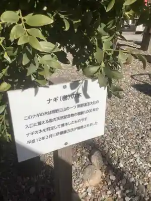 神明社（荒子神明社）の自然