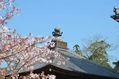 本山専修寺(三重県)