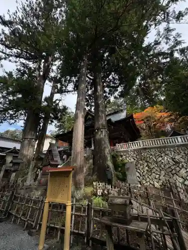 三峯神社(埼玉県)