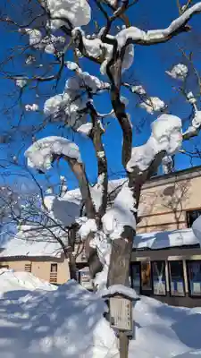 空知神社の自然