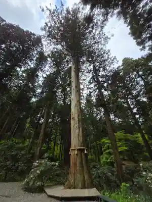 御岩神社(茨城県)