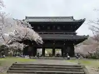 根来寺の{uncategorized: "未分類", other: "その他", undefined: "問題あり", building: "その他建物", grave: "お墓", sacred_gate: "鳥居", guardian: "狛犬", statue: "像", buddha: "仏像", history: "歴史", nature: "自然", garden: "庭園", animal: "動物", pagoda: "塔", temizu: "手水舎", mountain_gate: "山門・神門", sanctuary: "本殿・本堂", subordinate: "末社・摂社", art: "芸術", scenery: "景色", jizo: "地蔵", ema: "絵馬", goshuin: "御朱印", omikuji: "おみくじ", items: "授与品その他", amulet: "お守り", goshuincho: "御朱印帳", eats: "食事", festival: "お祭り", votive_dance: "神楽", shichigosan: "七五三参", wedding: "結婚式", experience: "体験その他", initially: "初詣", around: "周辺", anti_infection: "感染症対策"}