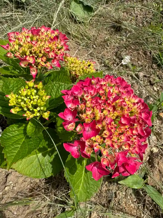 熊野福藏神社(福島県)