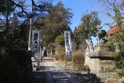 豊景神社の狛犬