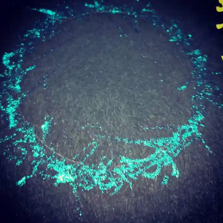 日蓮宗 総本山 塔頭 定林坊(じょうりんぼう)(山梨県)