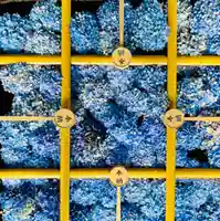 土津神社|こどもと出世の神さま(福島県)