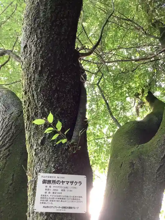 針綱神社 御旅所(愛知県)