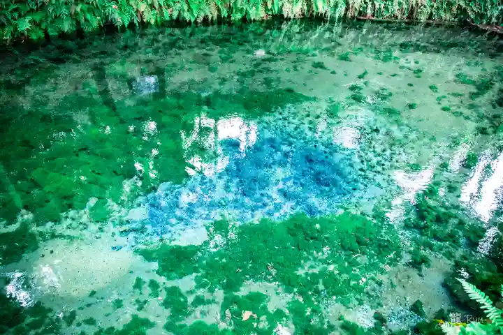 白川吉見神社(熊本県)