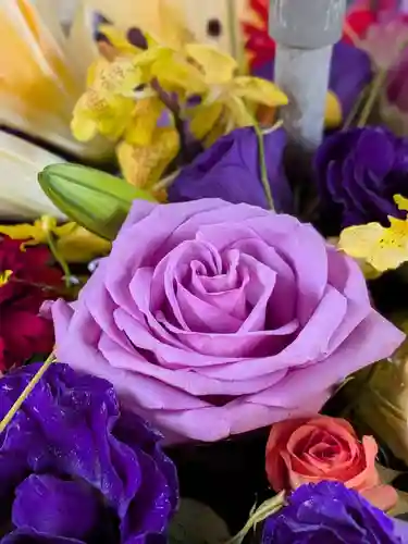 鳩森八幡神社(東京都)