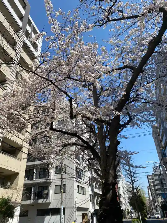 金刀比羅大鷲神社の自然