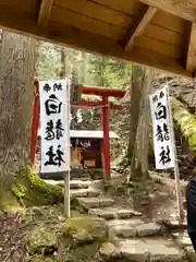 早池峯神社(岩手県)