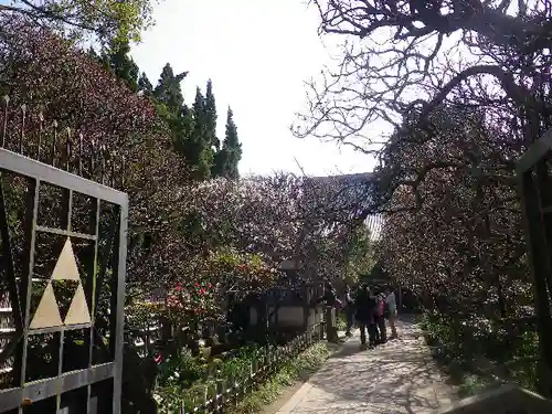 宝戒寺の庭園