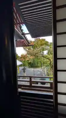禅林寺(永観堂)(京都府)