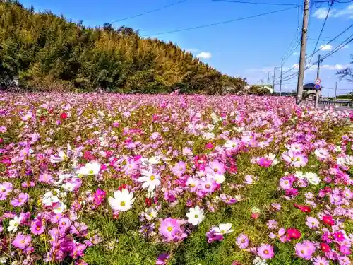 林若子社の景色