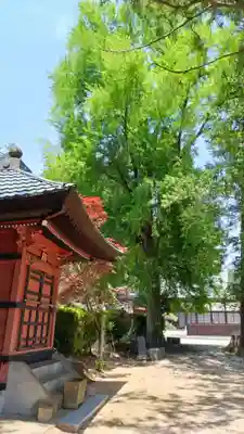 如意輪寺(市原観音)(茨城県)