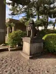 福井神社の狛犬