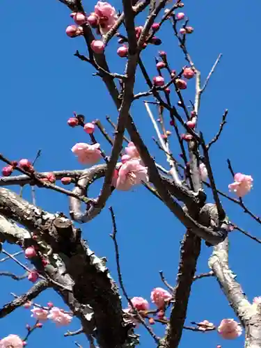 禅居院(神奈川県)