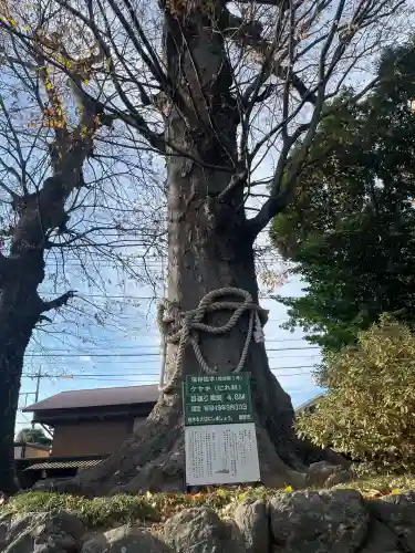 八坂神社(神奈川県)