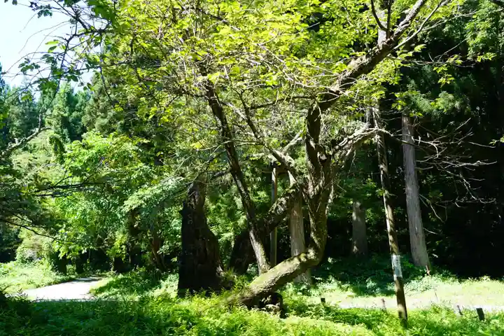 磐椅神社の自然