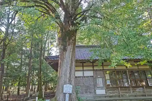 若狭姫神社（若狭彦神社下社）(福井県)