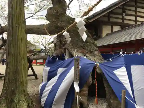 生島足島神社の自然