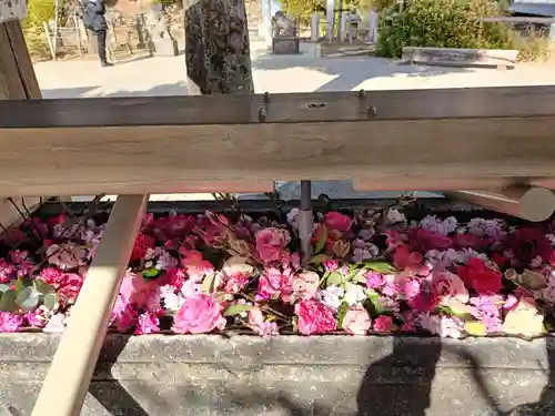 鳩森八幡神社の手水舎