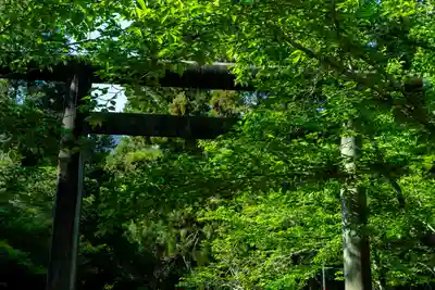 大元神社(厳島神社境外摂社)(広島県)