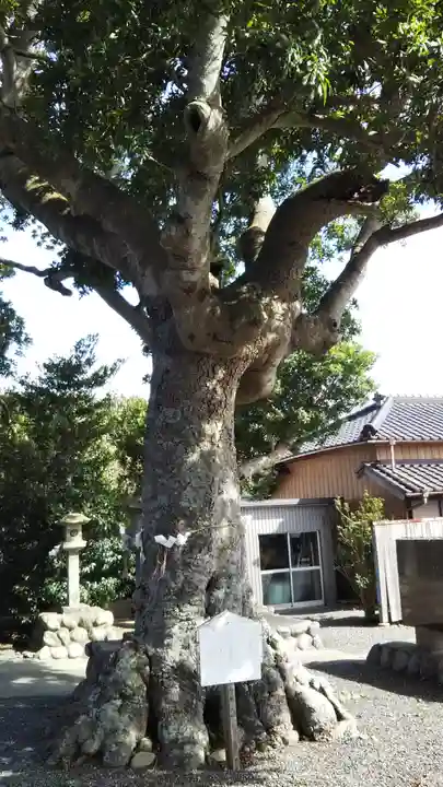 矢柄神社のその他建物