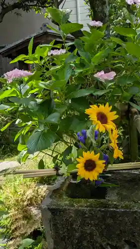 宝蔵寺(京都府)