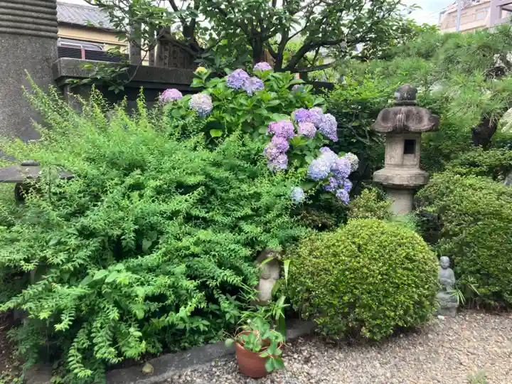 瑞泉寺(東京都)