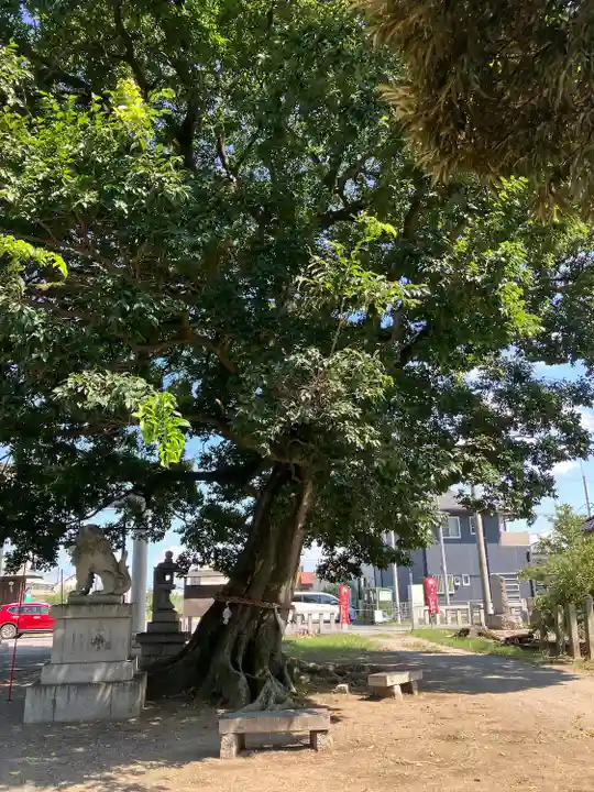 島田八坂神社のその他建物