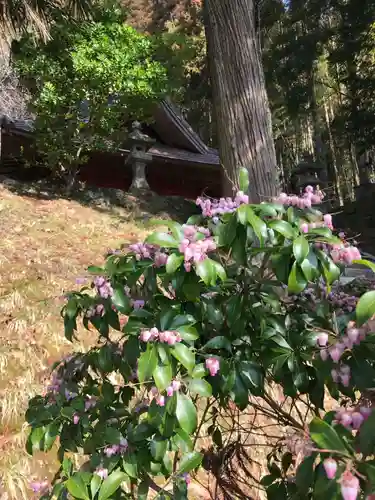 八幡神社の自然