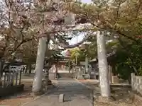 根崎八幡神社の鳥居