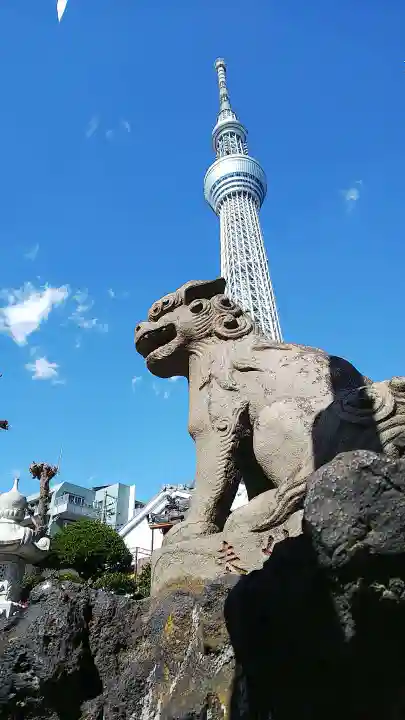 押上天祖神社の狛犬
