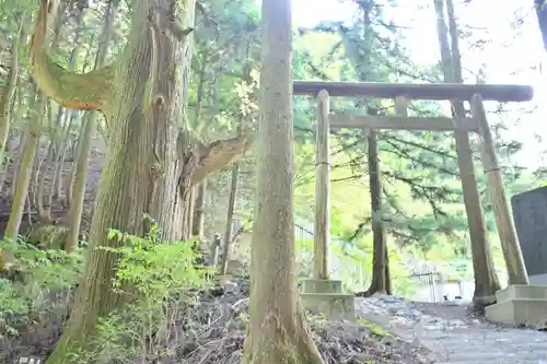 武蔵御嶽神社奥の院(東京都)