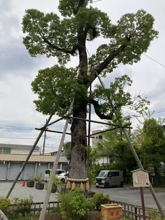 溝口神社(神奈川県)
