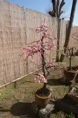 菅原天満宮（菅原神社）(奈良県)