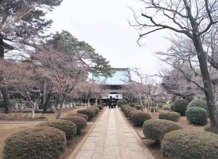 豪徳寺の{uncategorized: "未分類", other: "その他", undefined: "問題あり", building: "その他建物", grave: "お墓", sacred_gate: "鳥居", guardian: "狛犬", statue: "像", buddha: "仏像", history: "歴史", nature: "自然", garden: "庭園", animal: "動物", pagoda: "塔", temizu: "手水舎", mountain_gate: "山門・神門", sanctuary: "本殿・本堂", subordinate: "末社・摂社", art: "芸術", scenery: "景色", jizo: "地蔵", ema: "絵馬", goshuin: "御朱印", omikuji: "おみくじ", items: "授与品その他", amulet: "お守り", goshuincho: "御朱印帳", eats: "食事", festival: "お祭り", votive_dance: "神楽", shichigosan: "七五三参", wedding: "結婚式", experience: "体験その他", initially: "初詣", around: "周辺", anti_infection: "感染症対策"}