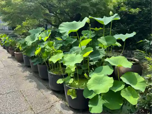 伊勢の国 四天王寺(三重県)
