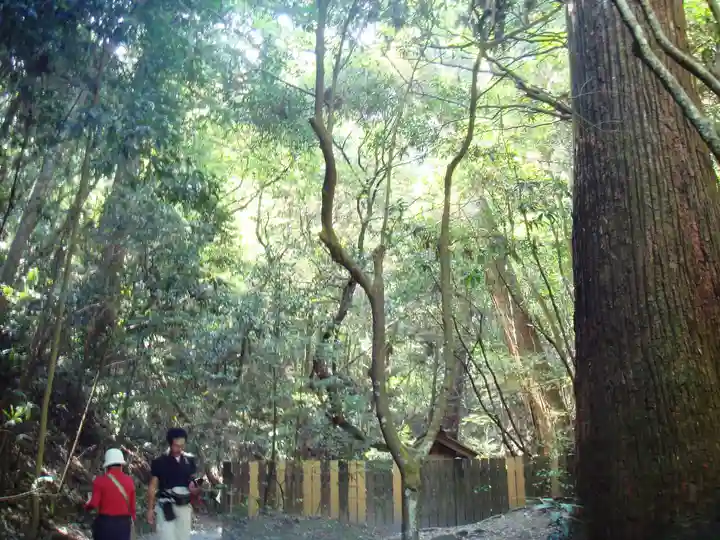 伊勢神宮外宮(豊受大神宮)の自然