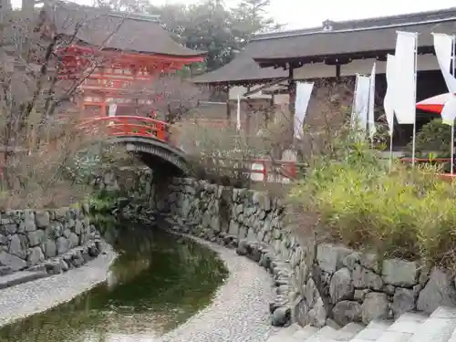 賀茂御祖神社（下鴨神社）の自然