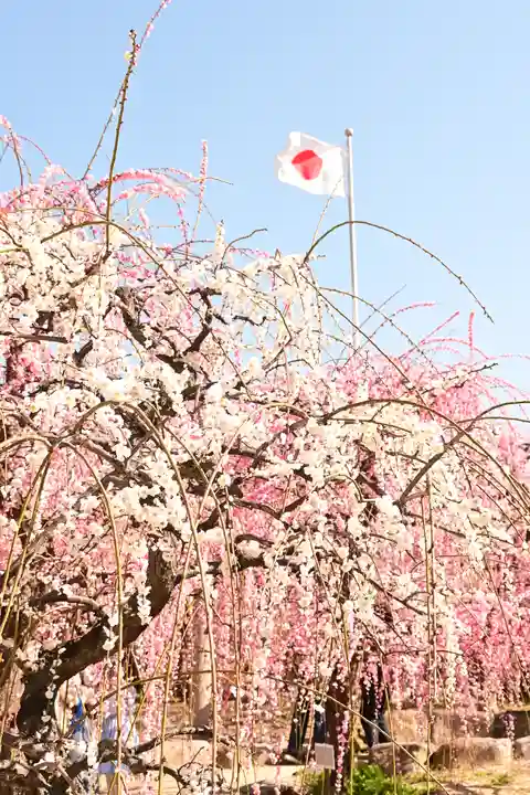 防府天満宮(山口県)