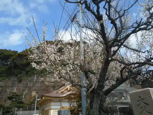 別願寺の景色