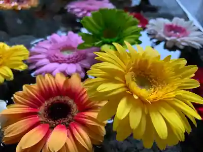 滑川神社 - 仕事と子どもの守り神(福島県)