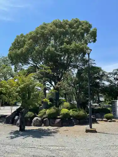 時宗総本山 遊行寺（正式：清浄光寺）(神奈川県)