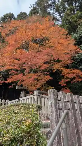 高倉天皇皇后　大原西陵(京都府)